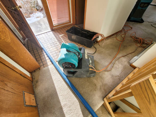 Best Water damage restoration company  in New Paris, IN