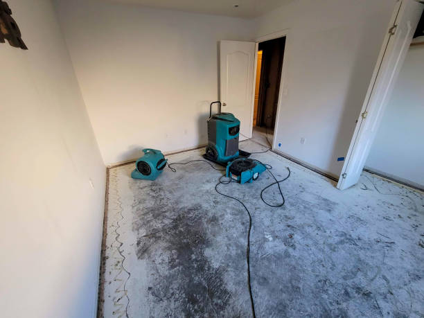Best Residential water damage restoration  in New Paris, IN