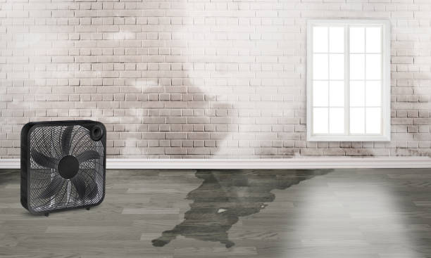 Best Fire Damage Restoration  in New Paris, IN