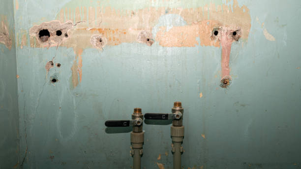 Water damage restoration experts in New Paris, IN
