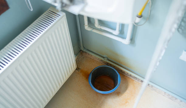 Best Ceiling water damage repair  in New Paris, IN